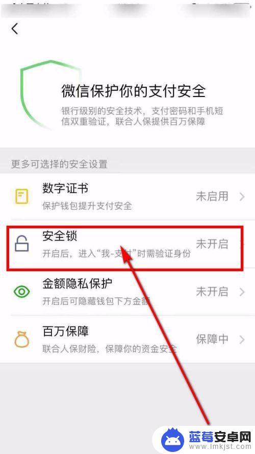 苹果手机钱包锁怎么设置的 iPhone微信钱包手势密码设置方法