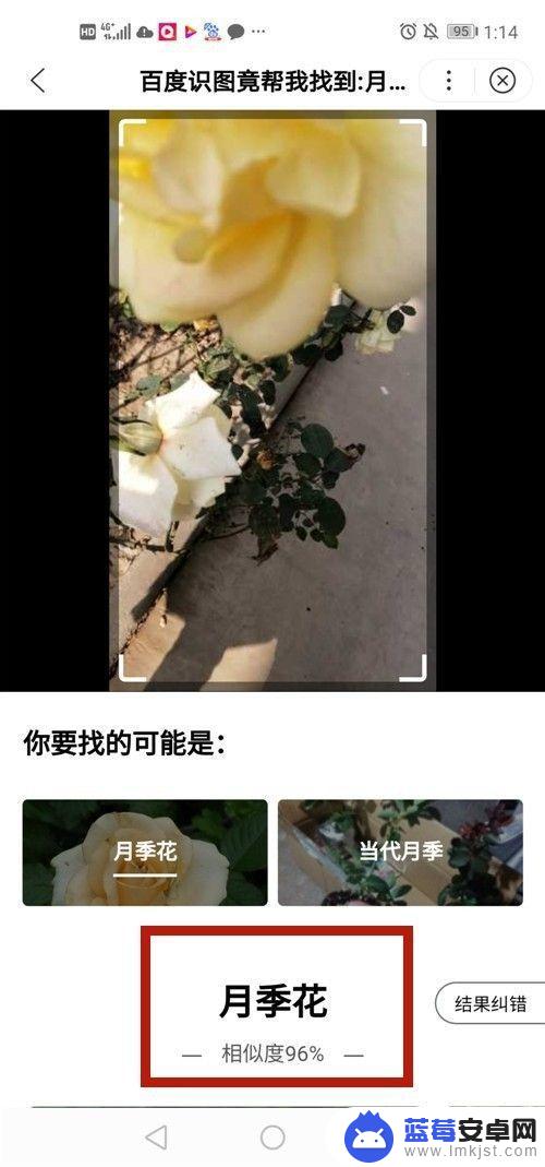 手机怎么拍照识花 用手机拍照如何识别花种