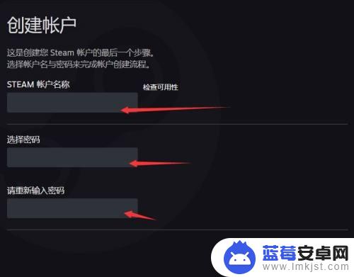 steam密码怎么老创建不成功 如何在Steam上设置安全密码