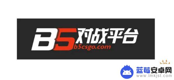 csgo除了steam下载还有什么平台 CSGO对战平台有哪些