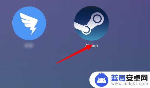 steam显示app Steam商店如何设置软件内容显示