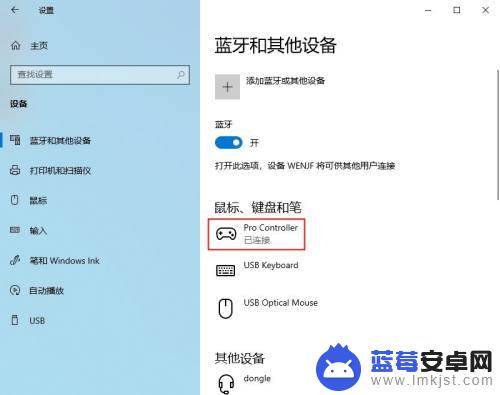 怎么用switch玩steam游戏 如何连接NS手柄玩Steam