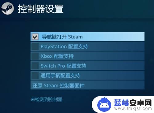 steam无法识别手柄 游戏无法识别手柄在steam平台上怎么办