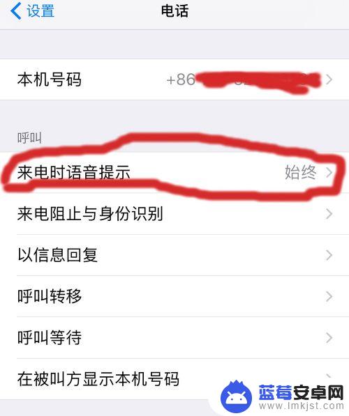 苹果手机来电说出姓名怎么设置 如何在苹果手机设置中调整来电姓名播报的音量
