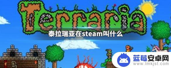 steam泰拉瑞亚怎么进入 泰拉瑞亚steam价格