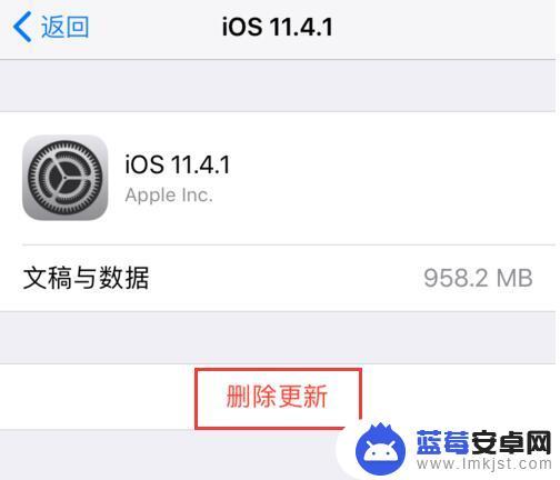 怎么删掉苹果手机系统内存 如何清理iPhone 系统占用的存储空间