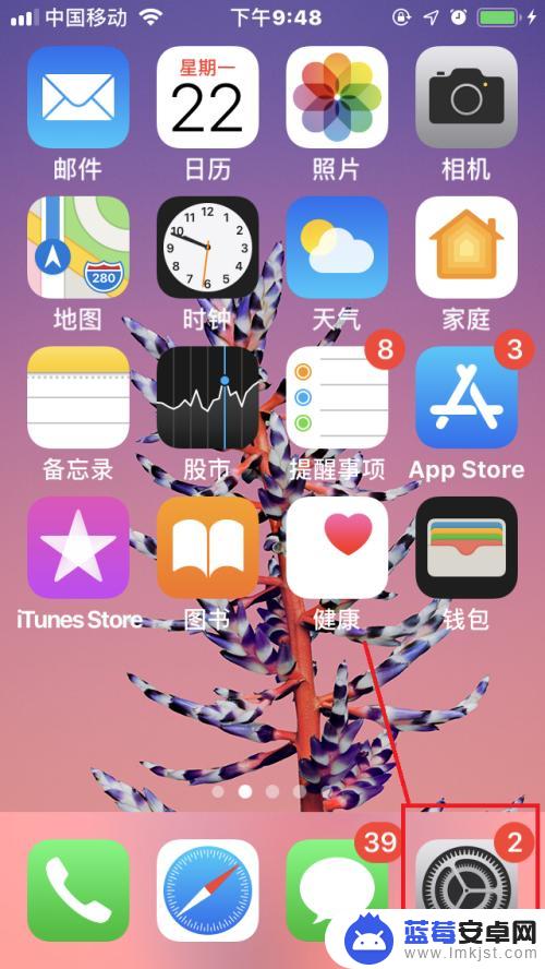 iphone信息闪光灯怎么开 苹果手机如何开启信息闪光灯