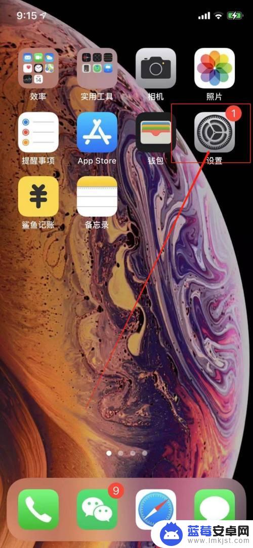 iphone侧面音量键怎么设置 怎样调整苹果手机侧边按钮键的音量功能