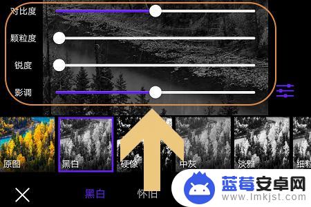 手机拍摄头像黑白怎么调 手机图片黑白化的方法