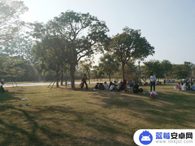 抖音草地聚餐视频(抖音草地聚餐视频怎么拍)