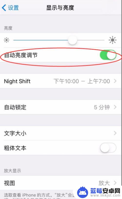 苹果手机怎么关闭亮光 苹果手机iPhone关闭自动亮度调节方法