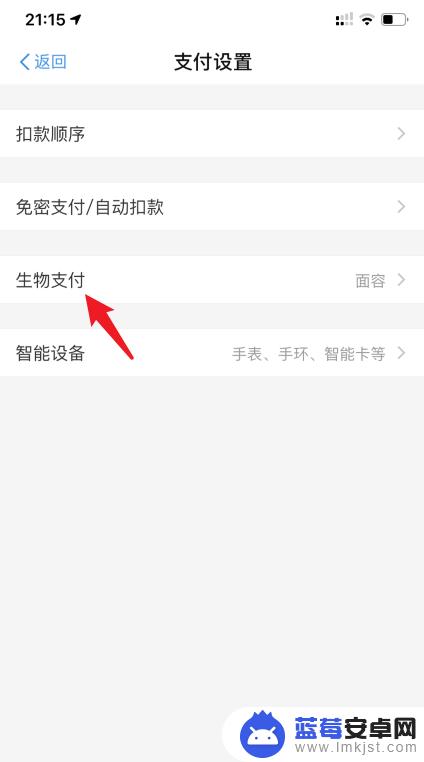 苹果手机人脸识别支付怎么设置 支付宝面容支付怎么在苹果手机上开启