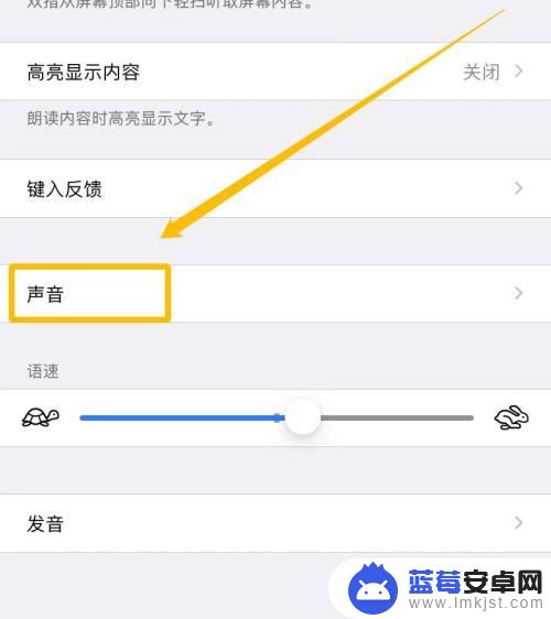 苹果手机怎么朗读发音 iPhone朗读文字如何设置声音速度