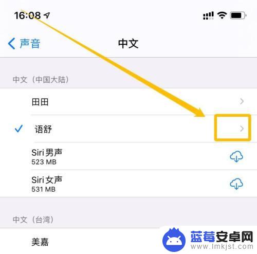 苹果手机怎么朗读发音 iPhone朗读文字如何设置声音速度