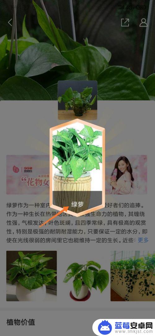 手机用qq浏览器怎么用 QQ浏览器扫一扫怎么打开