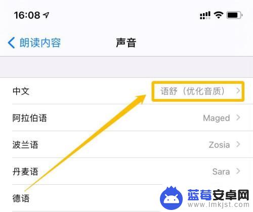 苹果手机怎么朗读发音 iPhone朗读文字如何设置声音速度