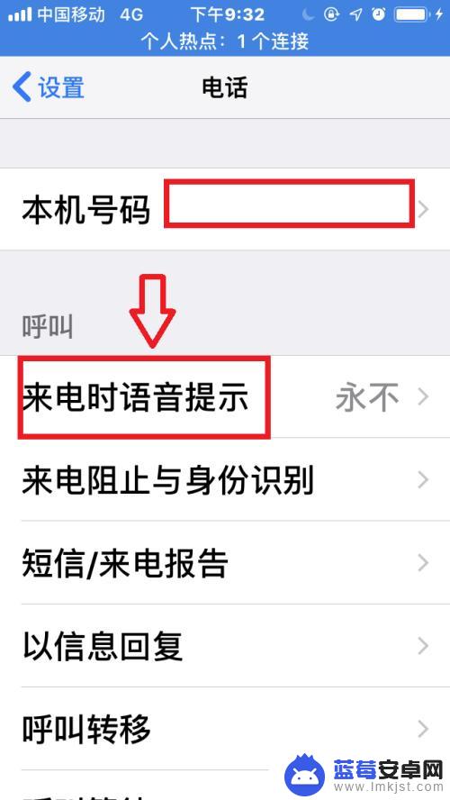苹果手机语音来电怎么设置 苹果手机来电语音提示设置步骤