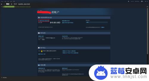 steam付款usd 在stream上面充值美元的方法