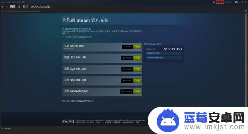 steam付款usd 在stream上面充值美元的方法