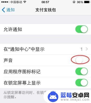 如何关闭苹果手机提醒功能 怎样关闭iPhone上的App通知