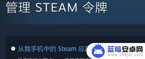 steam令箭 Steam令牌如何开启