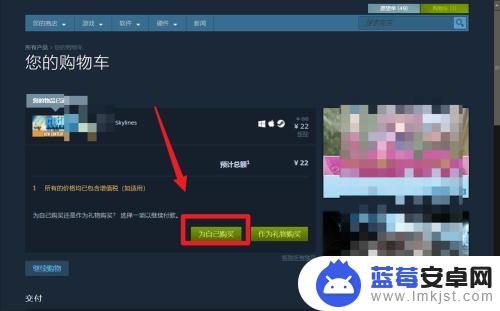 steam怎么买城市天际线 怎样在Steam上购买都市天际线游戏