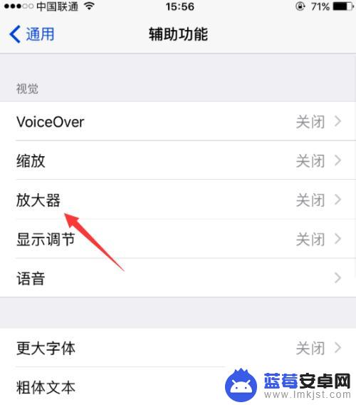 手机照片不能放大和缩小在哪里设置 iPhone手机放大模式打开方法