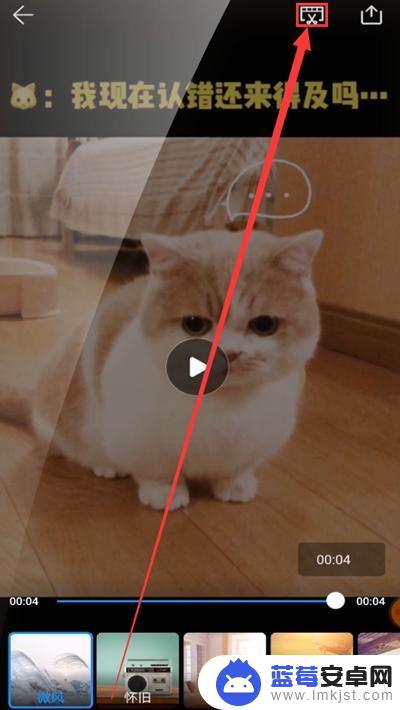 手机视频里的字怎么去掉 手机去除视频中的文字方法