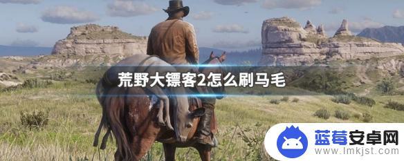 荒野大镖客 马毛刷 荒野大镖客2如何有效刷取马毛