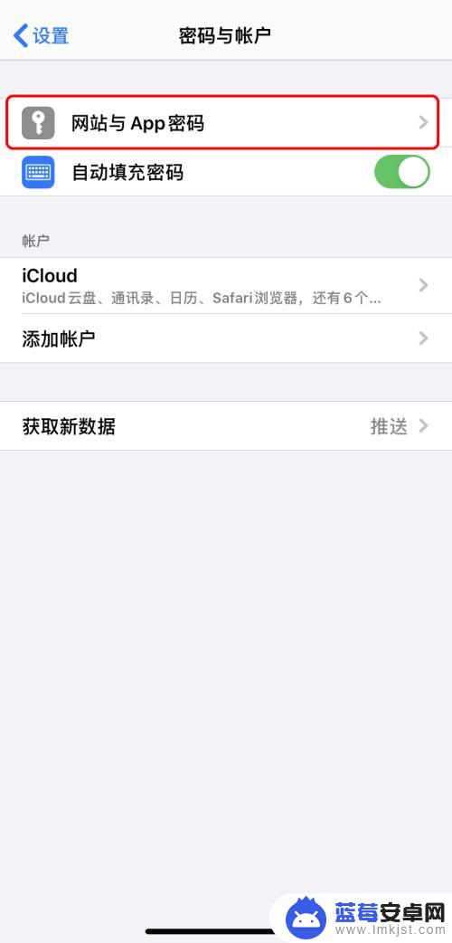 手机帐号怎么知道密码 iPhone如何查看已保存的网站密码