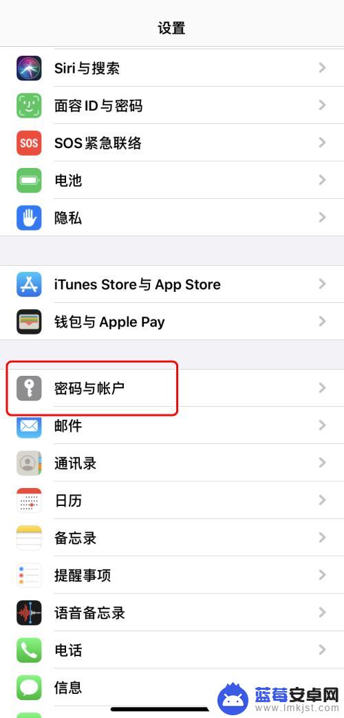 手机帐号怎么知道密码 iPhone如何查看已保存的网站密码