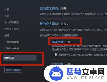 steam掩盖 Steam如何不让其他人看到自己正在玩的游戏