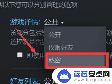 steam掩盖 Steam如何不让其他人看到自己正在玩的游戏