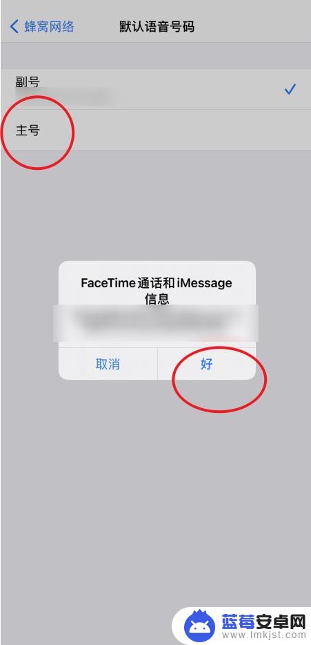 iphone拨打电话如何设置默认用主号 苹果手机默认主号码打电话的设置方法