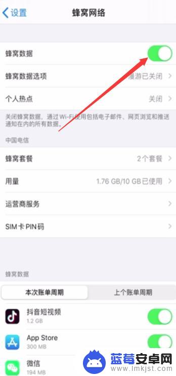 苹果手机有4g信号不能上网 苹果手机显示4g网络但无法上网怎么办