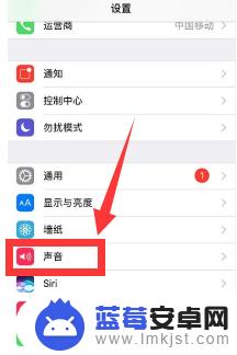 苹果手机的声音怎么打开 苹果手机拍照没有声音怎么解决