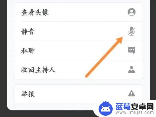 手机腾讯会议不想听主持人说话 腾讯会议主持人声音关闭方法