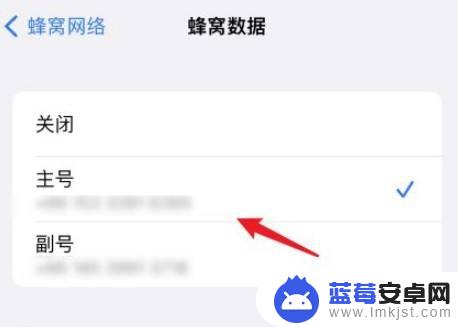 苹果手机怎么查可以用什么卡 iPhone13如何切换主卡和副卡