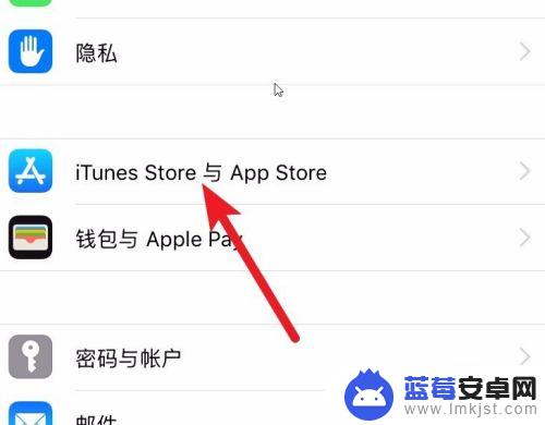 苹果手机怎么设置微信自动更新 iPhone微信自动更新怎么取消