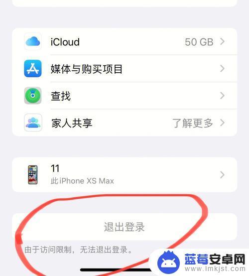 苹果6手机访问限制在哪里 iPhone6如何开启访问限制功能