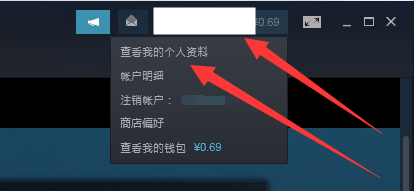 steam怎么不让好友看见自己玩游戏 如何设置Steam好友看不到你玩游戏