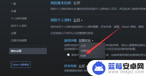 steam怎么不让好友看见自己玩游戏 如何设置Steam好友看不到你玩游戏