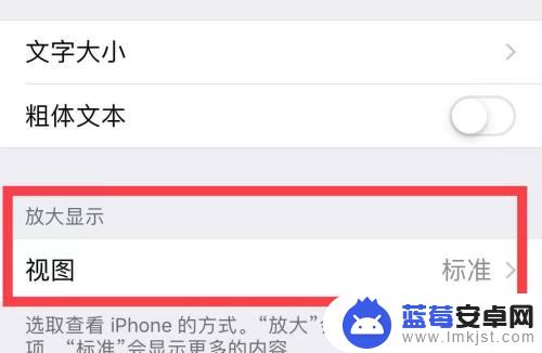 苹果手机如何放大图标字体 如何在苹果手机上设置放大显示图标文字