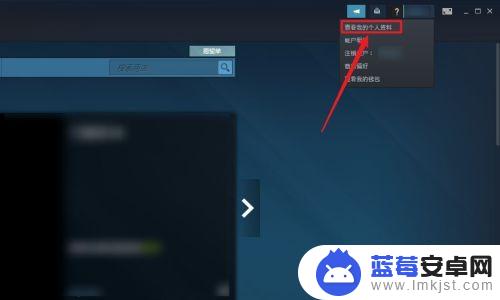 steam隐私状态怎么设置 Steam隐私设置教程