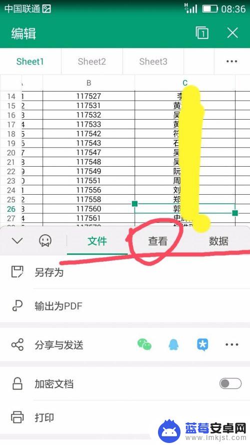 手机上表格如何查找 手机怎样在Excel表格中查找特定信息