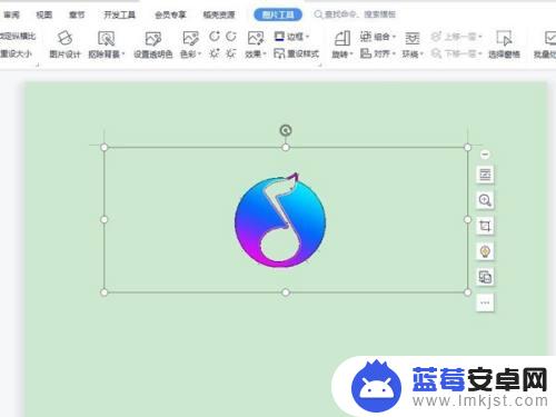 手机上wps的图片怎么消除底色 WPS演示怎么去除图片背景色