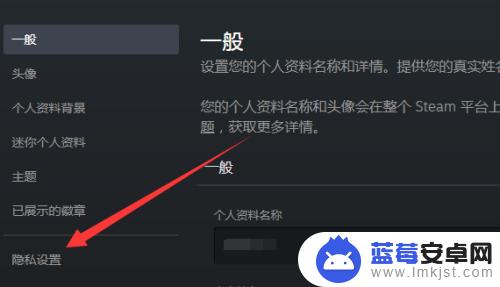 steam怎么样不让好友知道我在玩游戏 怎样让Steam好友看不到我玩游戏