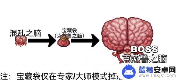 泰拉瑞亚饰品战士 泰拉瑞亚战士毕业饰品推荐