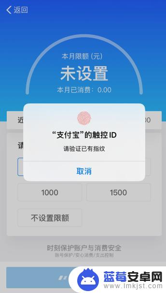 如何设置手机支付额度 苹果手机支付限额设置教程