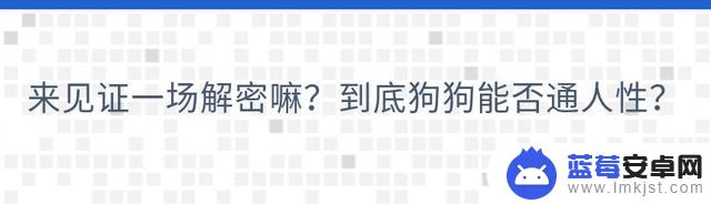 抖音里的狗子与我